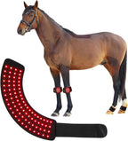 FSDLJSP red light therapy horse hoof wrap front view during an equine leg recovery session.