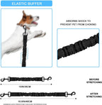 Demonstration of Mattisam elastic pet leash extension for walking