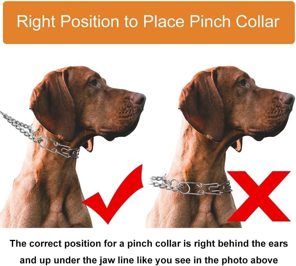 CBBPET dog prong collar packaging contents including extra link replacements and protective rubber caps