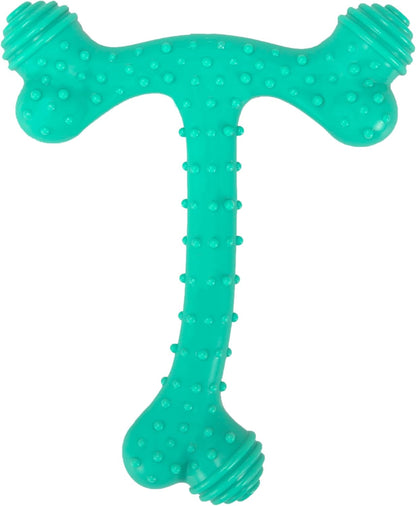 Dog holding T-Bone dental chew toy between paws