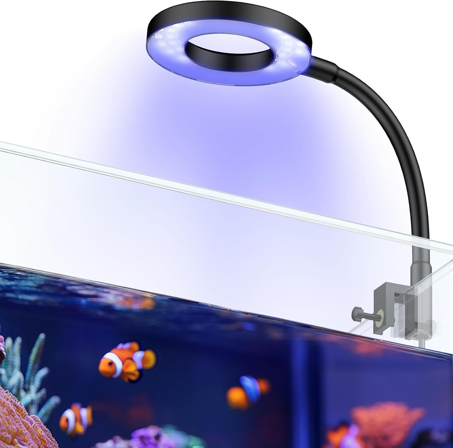 Pawfly 6 W LED Aquarium Light for 1 to 5 Gallon Fish Tanks Clip On Fish Tank Light USB Moving Aquarium Lamp with Full Spectrum Dimmable White Blue Red Green Lights with Timer (Adapter Not Included) - Image 9