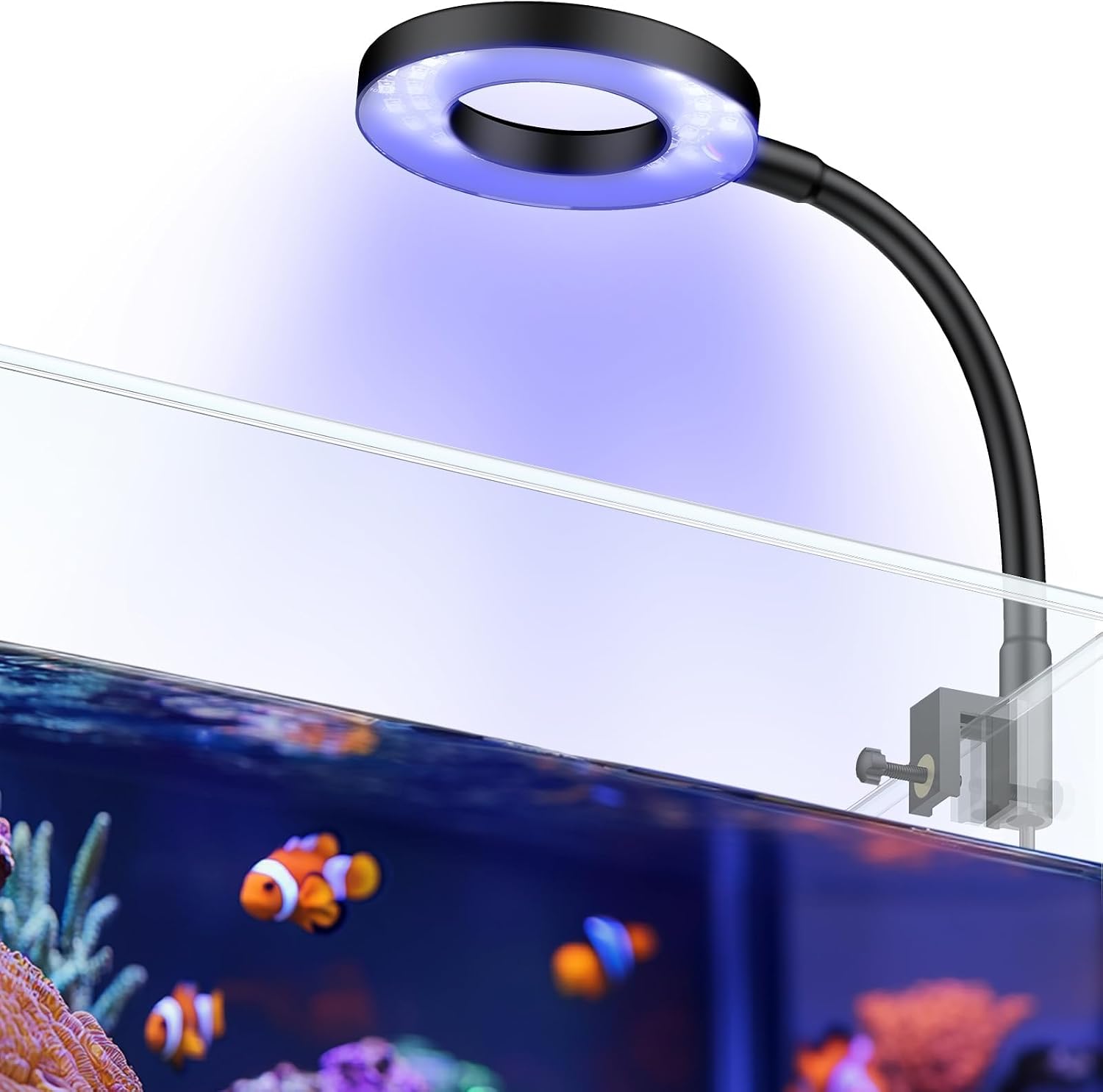 Pawfly 6 W LED Aquarium Light for 1 to 5 Gallon Fish Tanks Clip On Fish Tank Light USB Moving Aquarium Lamp with Full Spectrum Dimmable White Blue Red Green Lights with Timer (Adapter Not Included) - Image 9