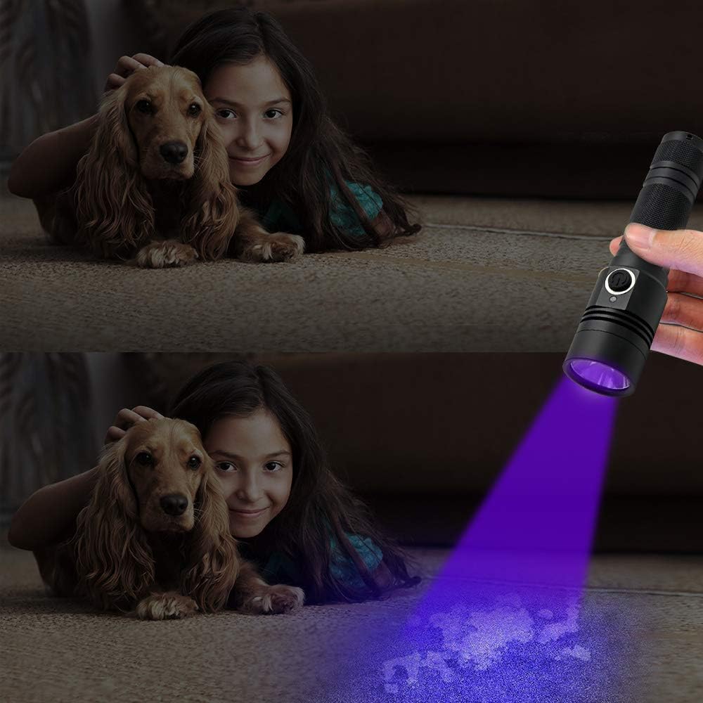 Handheld black light device being used to inspect a hotel mattress for bed bug detection