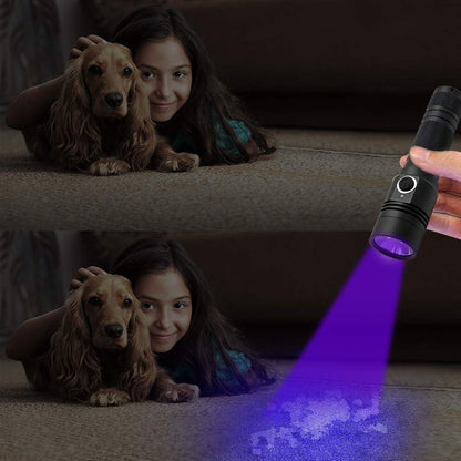 Handheld black light device being used to inspect a hotel mattress for bed bug detection