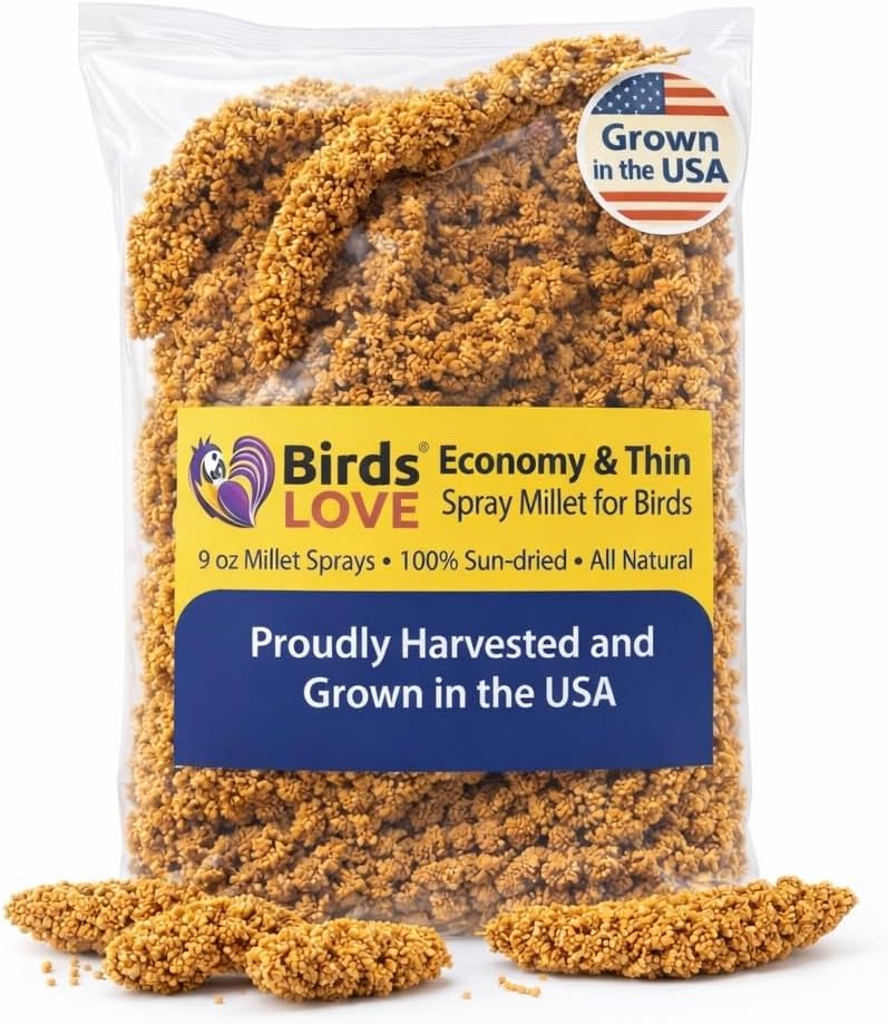 5lbs Economy & Special Spray Millet for Birds - GMO-Free, No Stems (Only Edible Tops) - 100% Natural Sun-Dried Foraging Treat for Cockatiels, Lovebirds, Parakeets, Finches & Canaries - Image 10