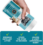 Dust-free premium cat litter freshener imported by Rudra Retails