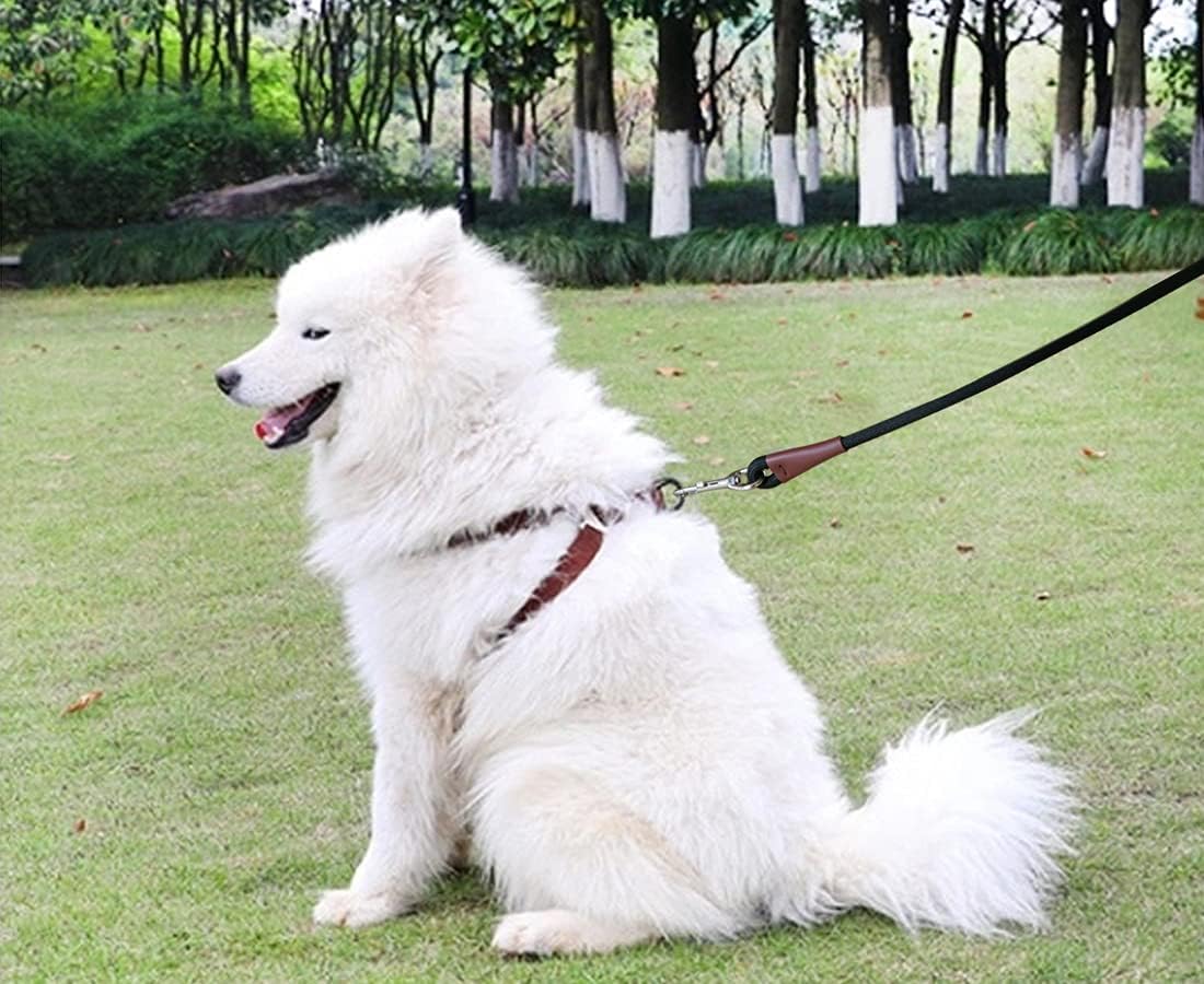 MayPaw authentic imported heavy duty dog training lead silver snap hook