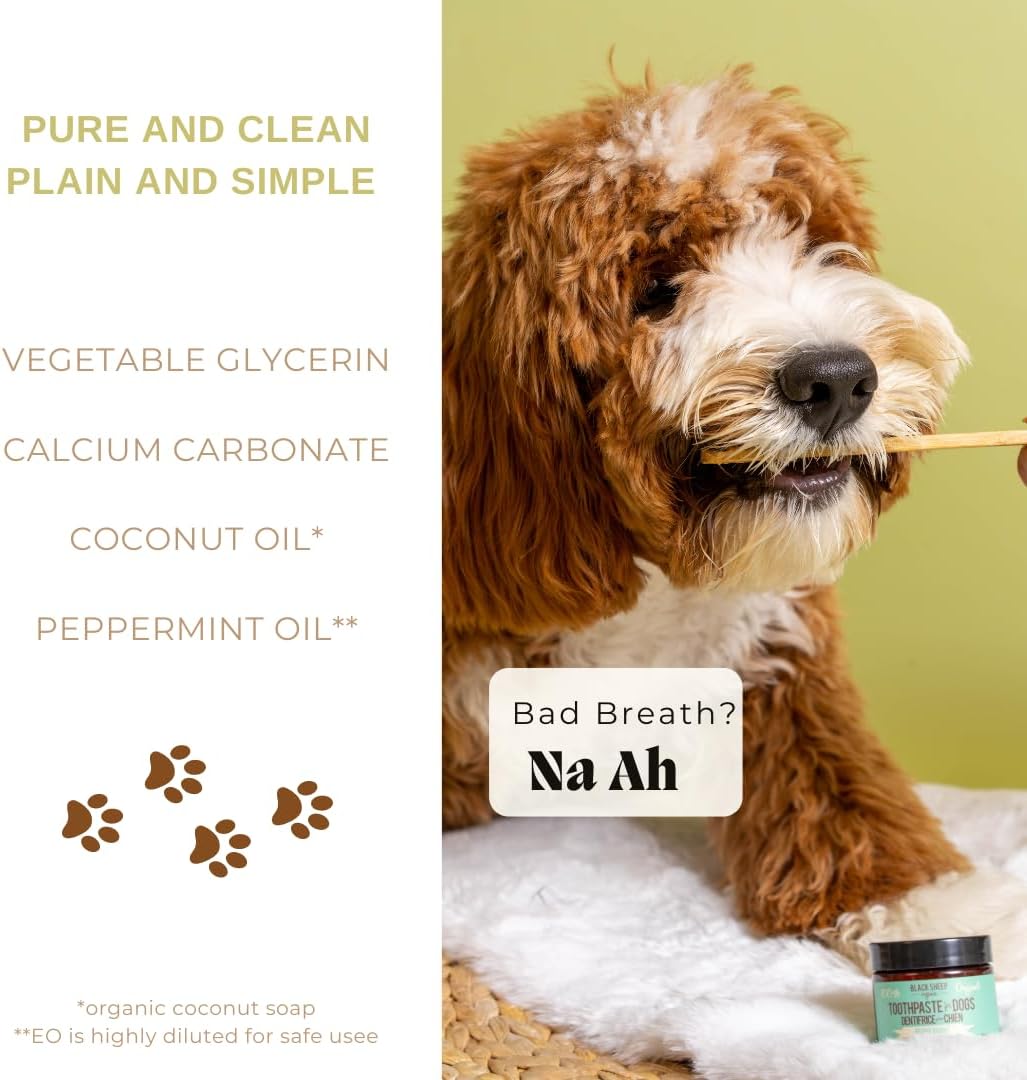 Close up of Black Sheep Organics natural peppermint dog toothpaste jar
