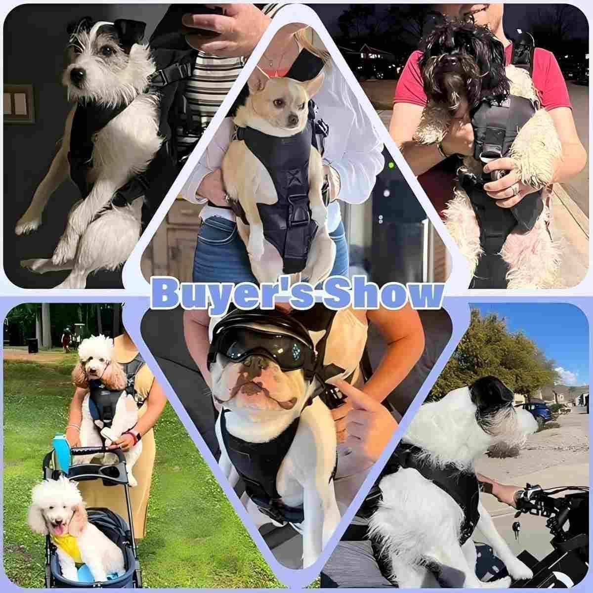 YUDODO small dog chest carrier backpack displaying triangular support system