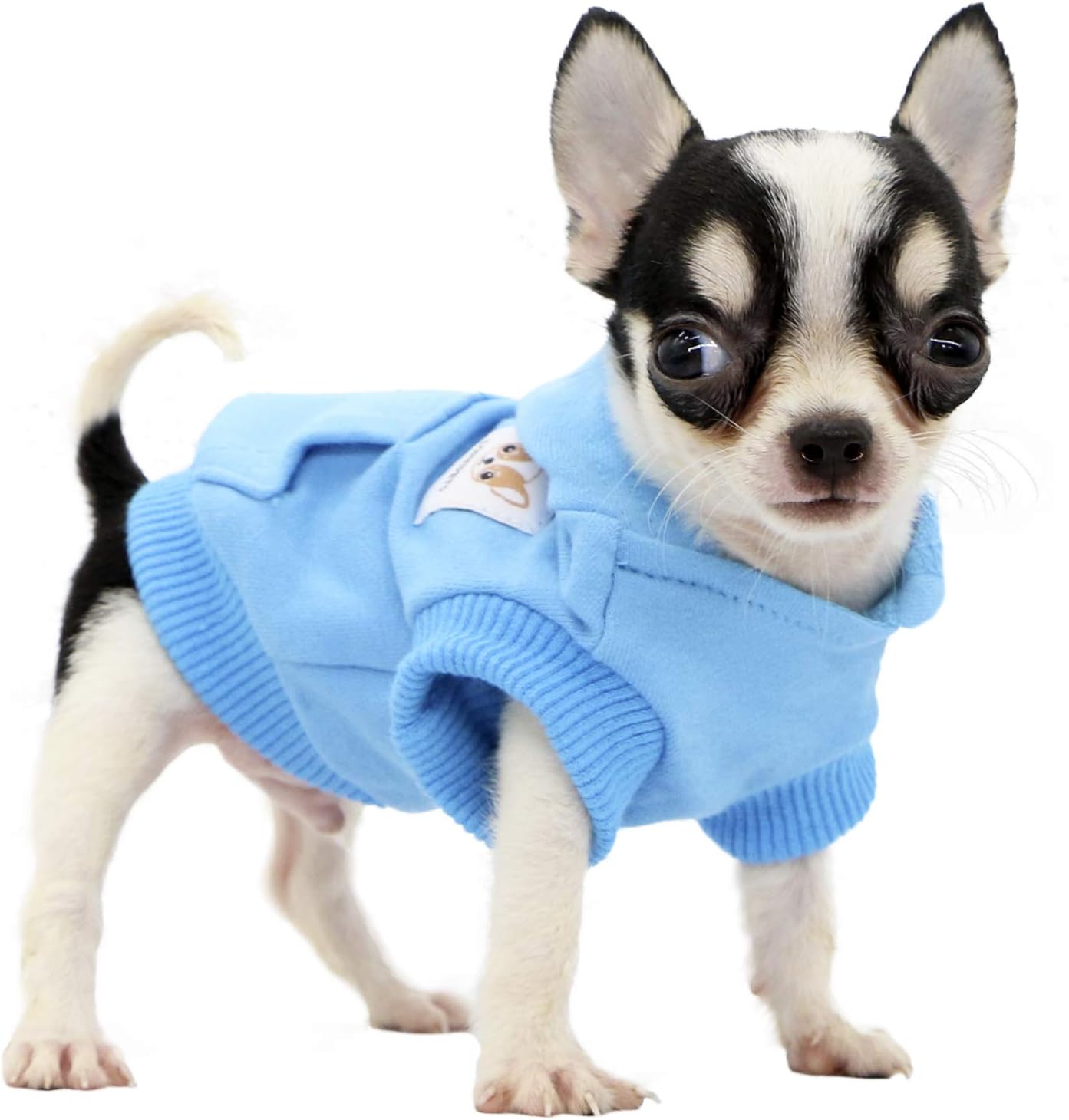 Lophipets dog cotton hoodie in Cambridge Blue front view
