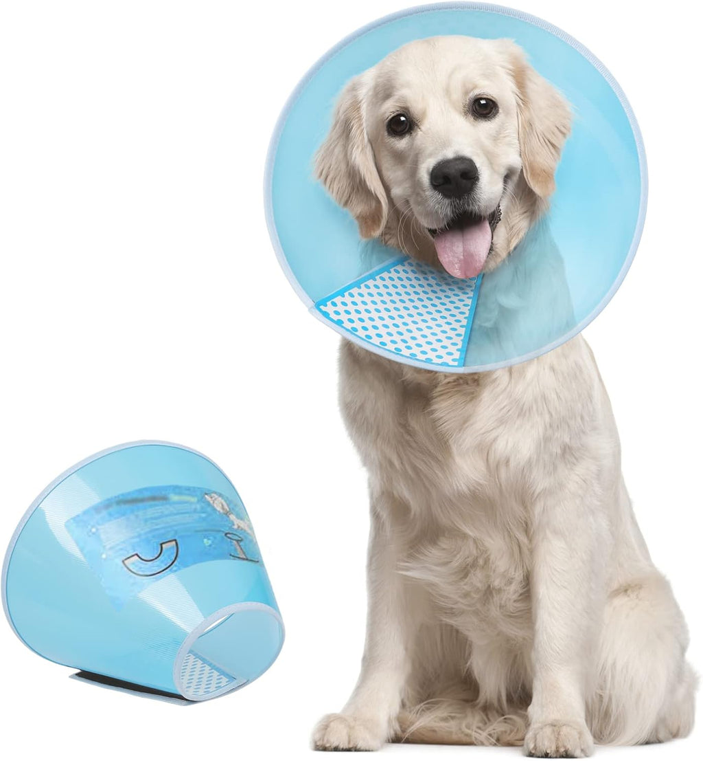 A small dog resting comfortably while wearing the authentic USA imported Supet protective collar.