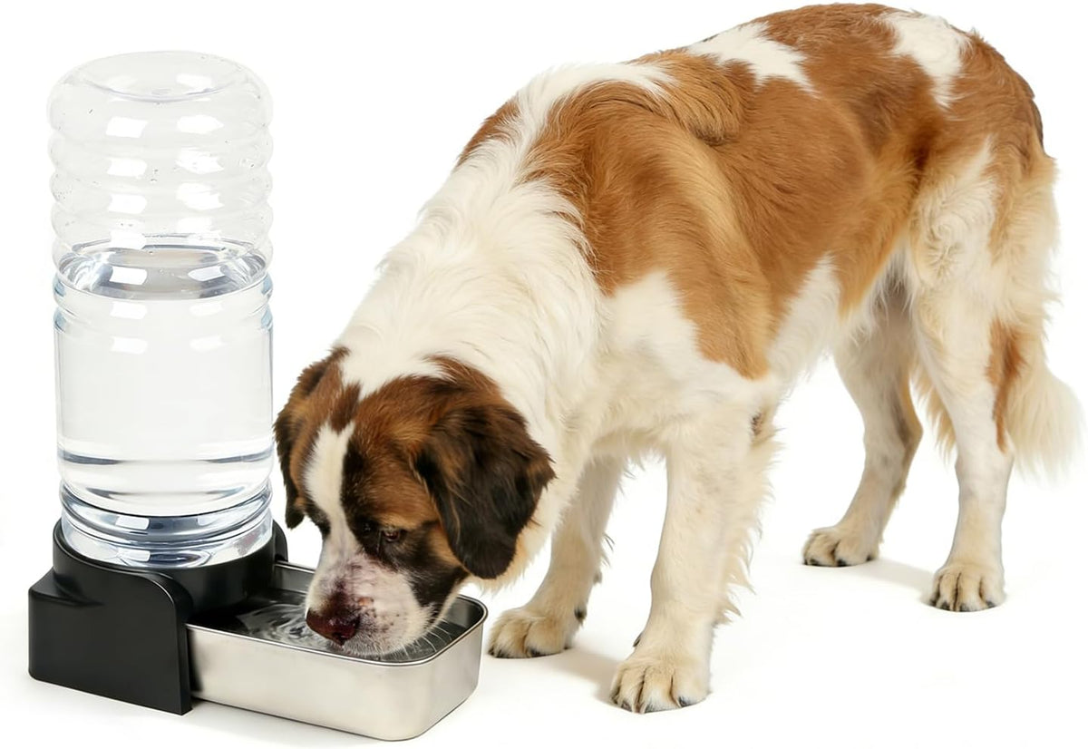 PAKEWAY 1 Gallon Automatic Gravity Dog Water Bowl Dispenser, Stainless Steel Large Capacity Pet Waterer with 3 Filters for Small to Medium Dogs and Cats - Image 11