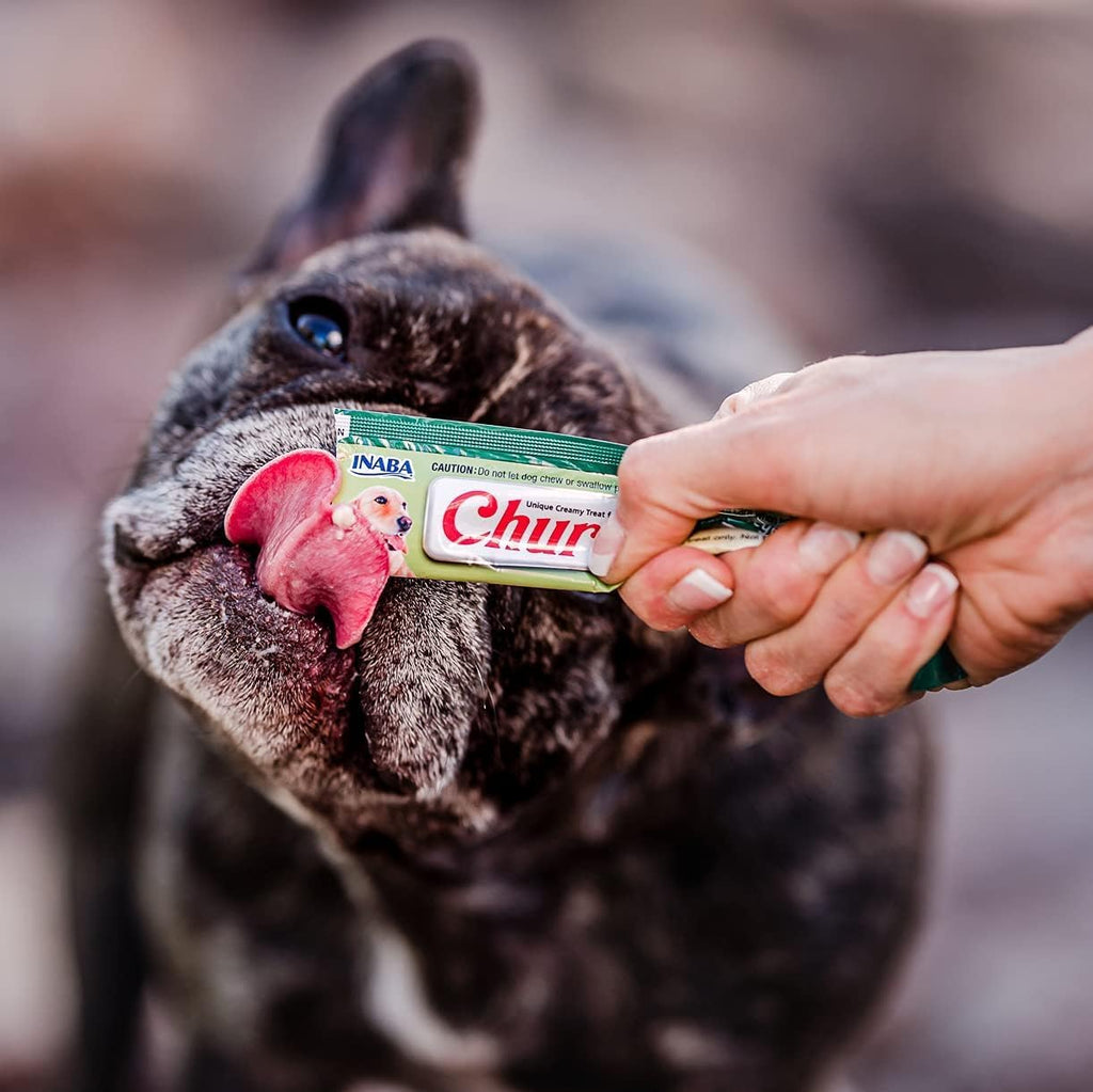 Nutritious salmon and pumpkin flavor dog puree meal enhancer close up