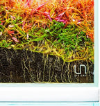 Detailed texture of Ultum Nature Systems Controbase aquarium stones