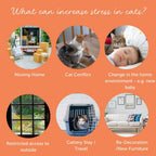 Feliway Cystease package showing key ingredients N-acetyl glucosamine