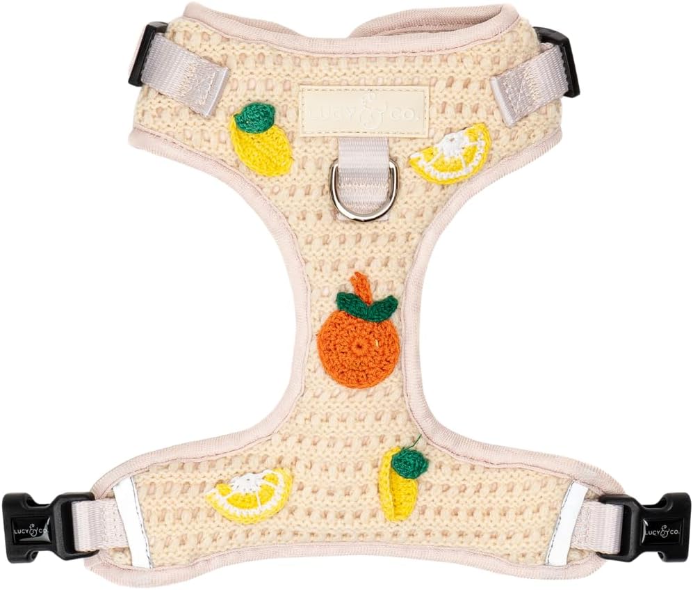 Lucy & Co. The Denim No-Pull Dog Harness - Size Small - Vest to Stop Pulling & Walk Easy - Comfortable Leash Training Product w/Adjustable Chest & Neck Straps - Image 9