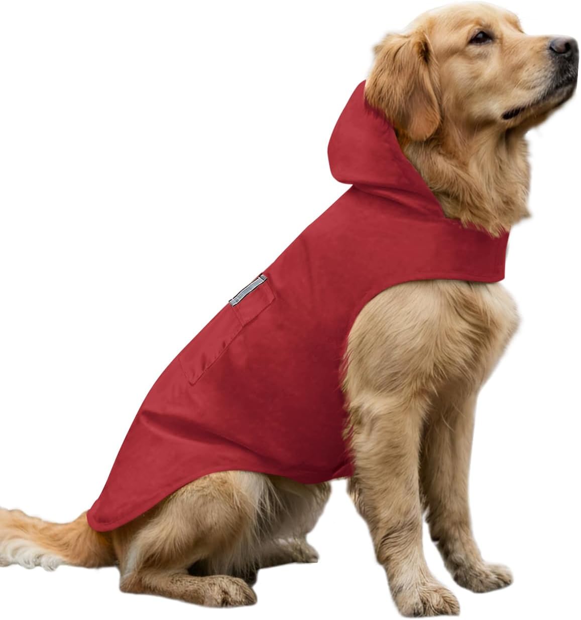 Haloumoning imported pet apparel full side profile view of a dog wearing the blue jacket