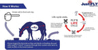 JustiFLY 8-8-8 equine supplement container back label view.