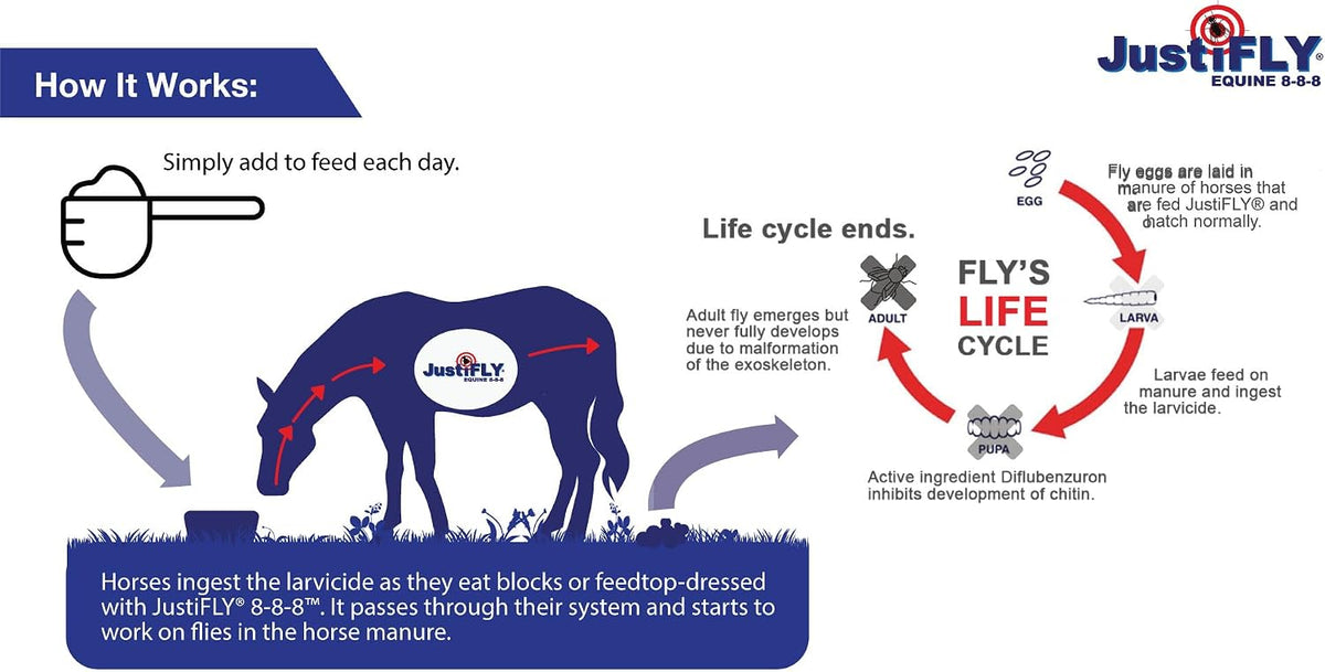 JustiFLY 8-8-8 equine supplement container back label view.