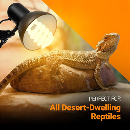 Two desert reptile UVA UVB light bulbs arranged side by side on a clean backdrop.