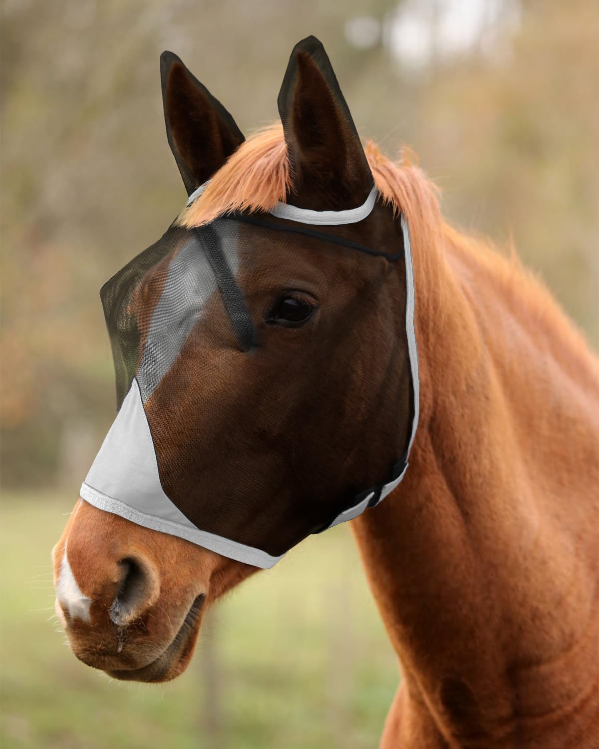 Hilltown Fly Mask for Horse with Ears - Teslin Mesh, 3D Eye Space, Forelock Opening, UV Protection, Adjustable Fit for Pasture, Grazing & Stable - Full, Blue - Image 9