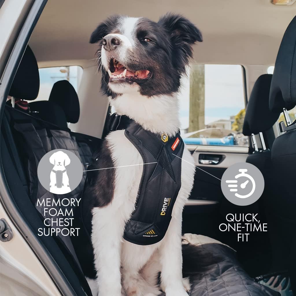 Side view of EzyDog Drive harness on a dog