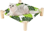 Small dog resting on a Patas Lague wooden elevated pet cot