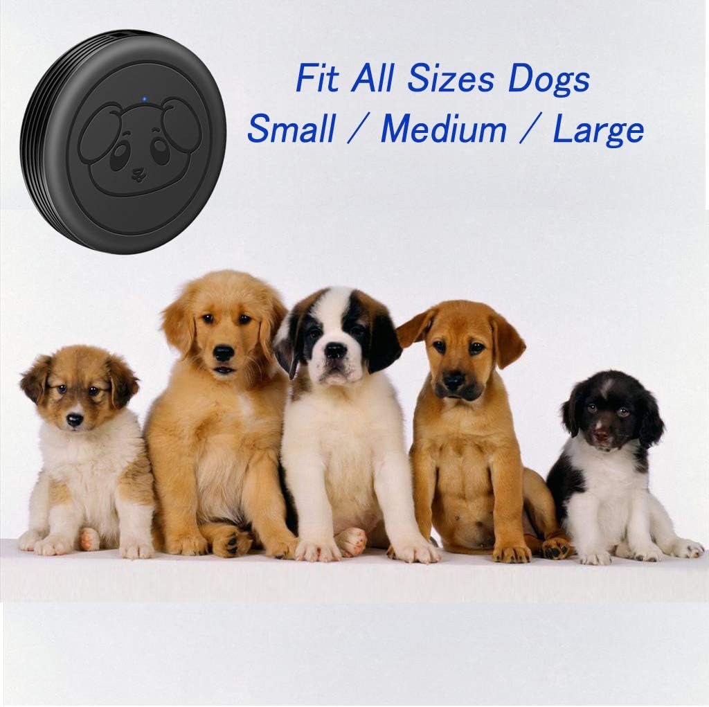 EverNary dog potty training bell kit package showing one receiver and two transmitters