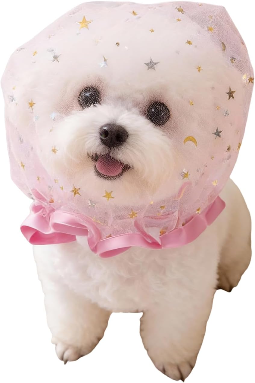 MdouLy pet anti scavenging muzzle front view on a small puppy