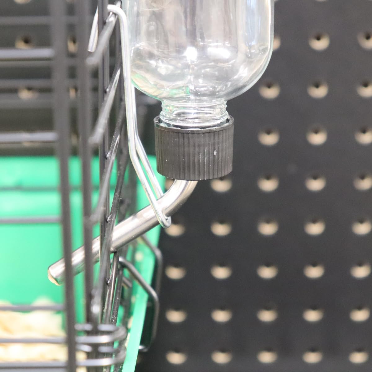 Lixit small animal hydration bottle mounted on wire cage