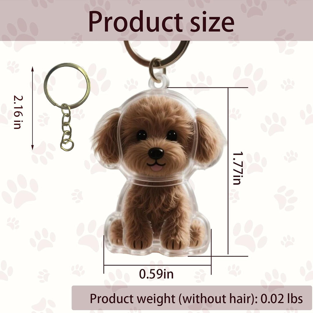 Clear pet fur storage keychain capsule attached to a metal ring clasp close up view