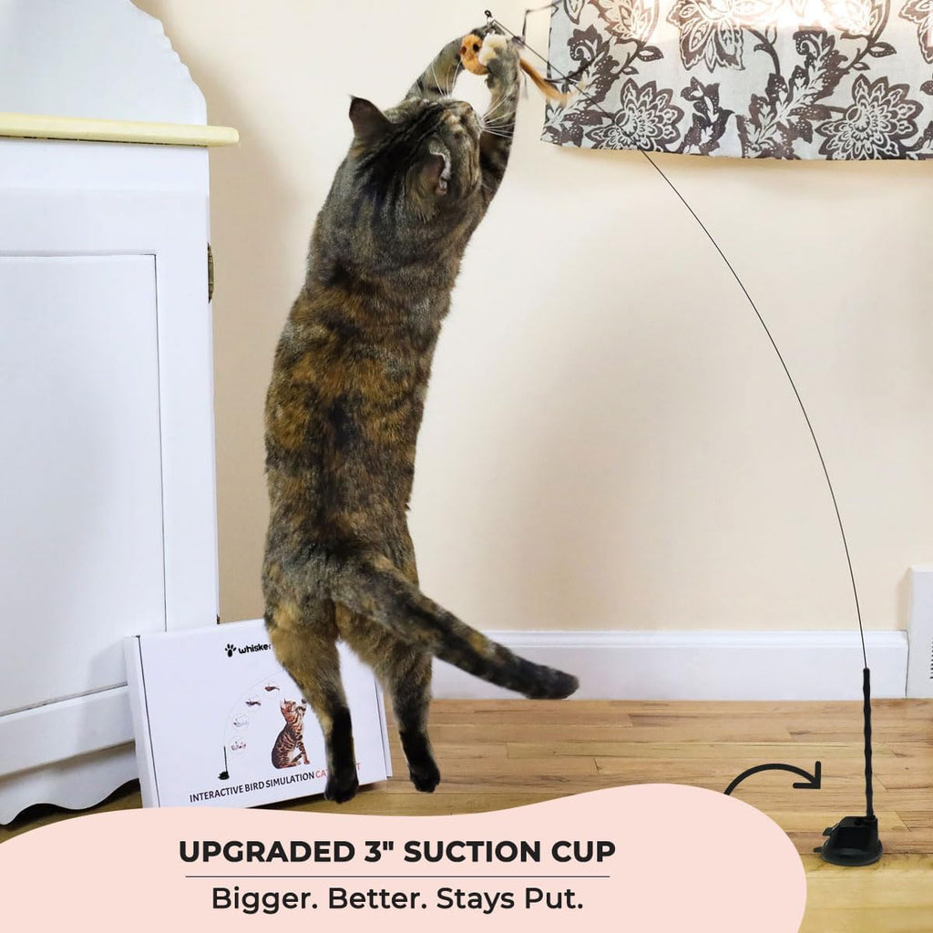 Whiskertons cat teaser wand attached to a window via the blue suction cup base.