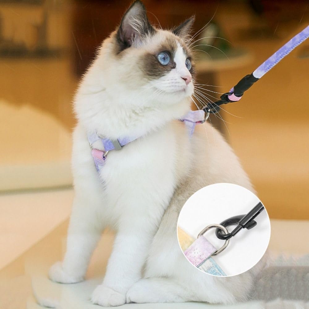 Full set of Semeb cat harness collar and leash