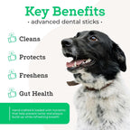 Dr. Joseph's dental sticks showing healthy teeth and gut support benefits