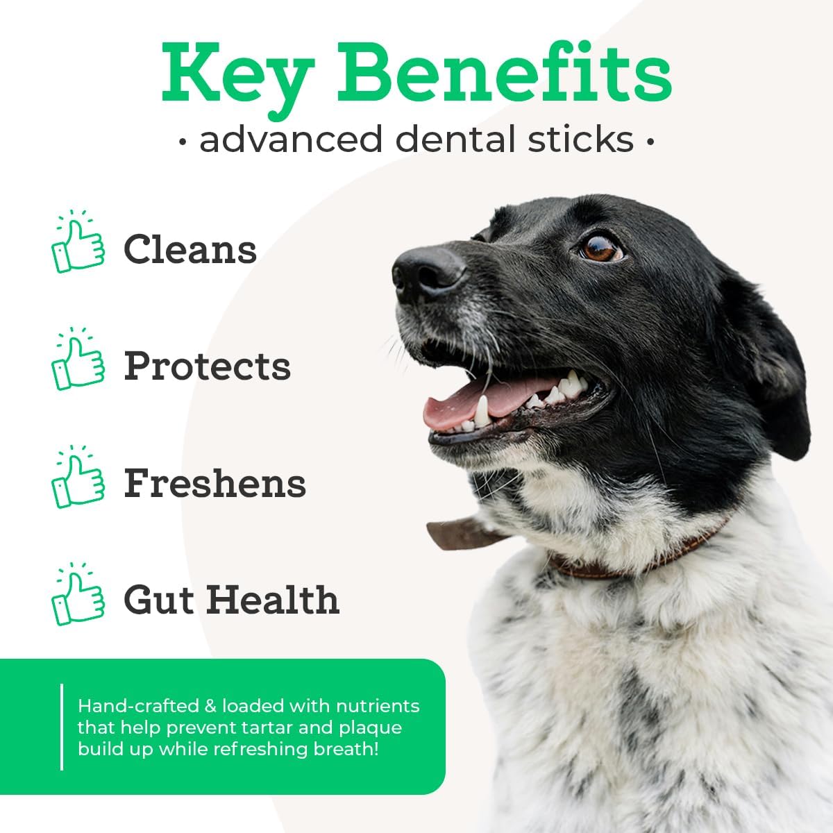 Dr. Joseph's dental sticks showing healthy teeth and gut support benefits
