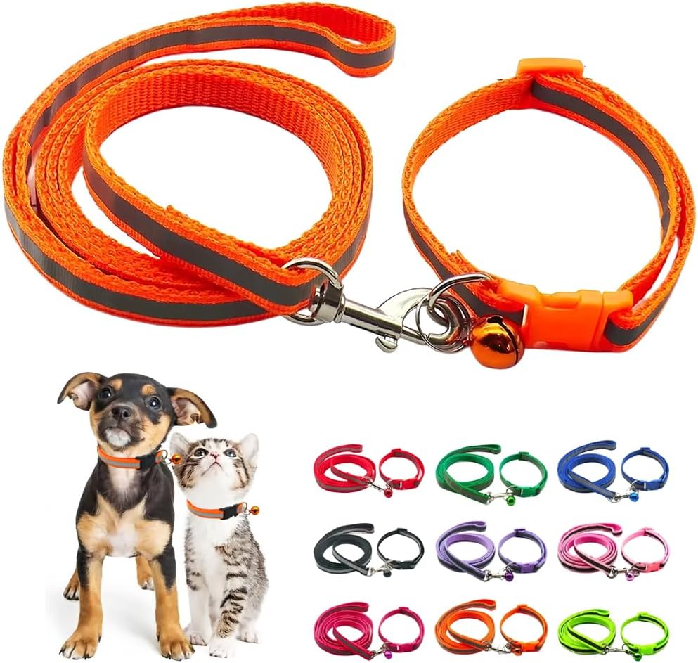 Matching orange leash and collar set for tiny pets