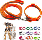 Matching orange leash and collar set for tiny pets