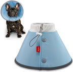 Agape fabric pet cone collar side view on small breed chihuahua
