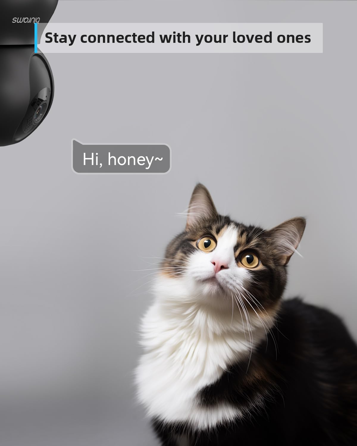 blurams 5G Indoor Cameras for Home Security, 2K Pet Camera with Phone App, 360 degrees PTZ Home Cam w/Dual-Band WiFi6, 2-Way Talk, Free Human/Sound Detection, Motion Tracking, Night Vision, Works with Alexa - Image 4