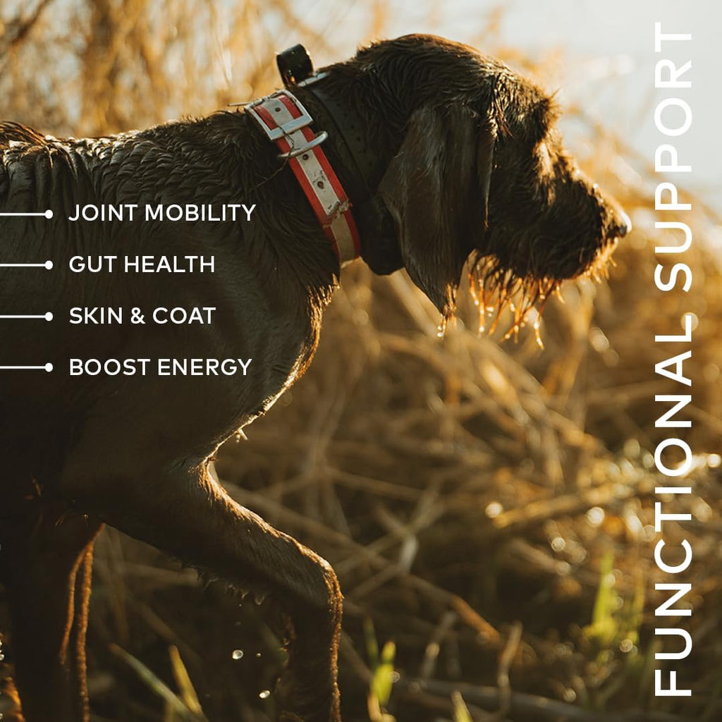 Furvor savory beef flavor bone broth concentrate ingredients label view