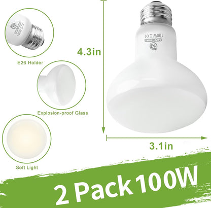 Two pack of REPTI HOME daylight heat lamps showing the advanced shape engineered for focused warmth.