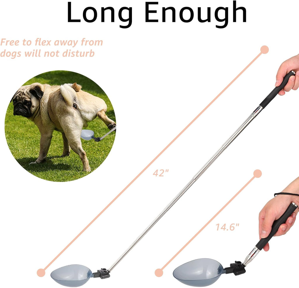 Dreamemo veterinary supplies showing interchangeable collection spoons for dogs and cats.