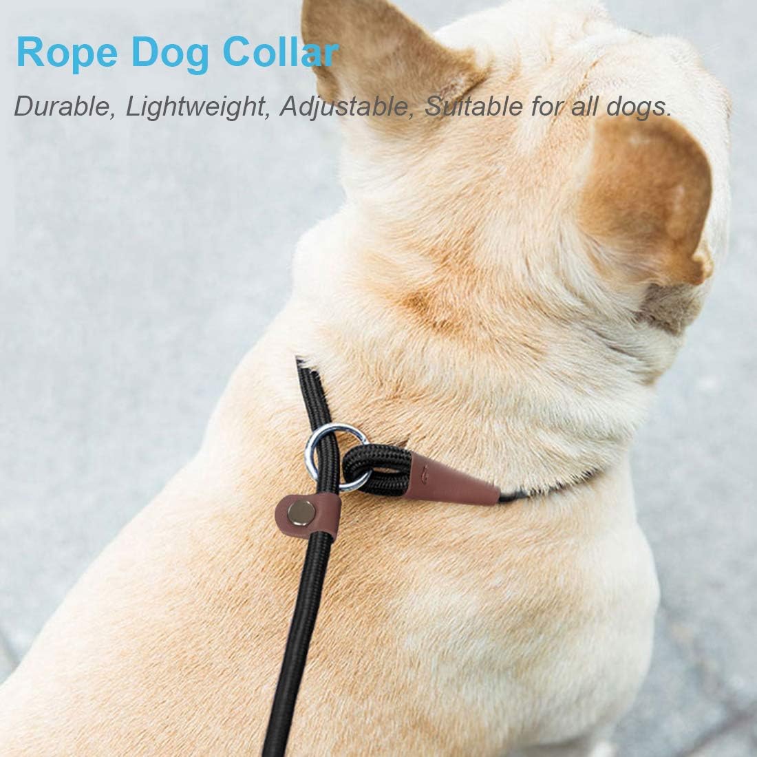 MayPaw imported pet training collar premium nylon material weave