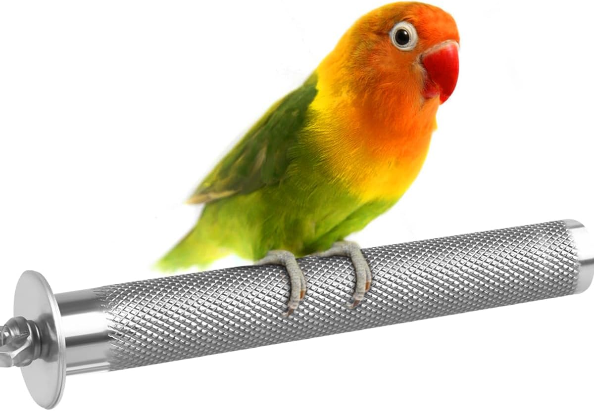 KATUMO Parrot Perch - Stainless Steel African Grey Perch Bird Cage Accessories for Small to Large Parrots (11.8 x 1.2 inch) - Image 8