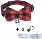 Close up of the adjustable breakaway safety buckle and silver bell on the cat collar