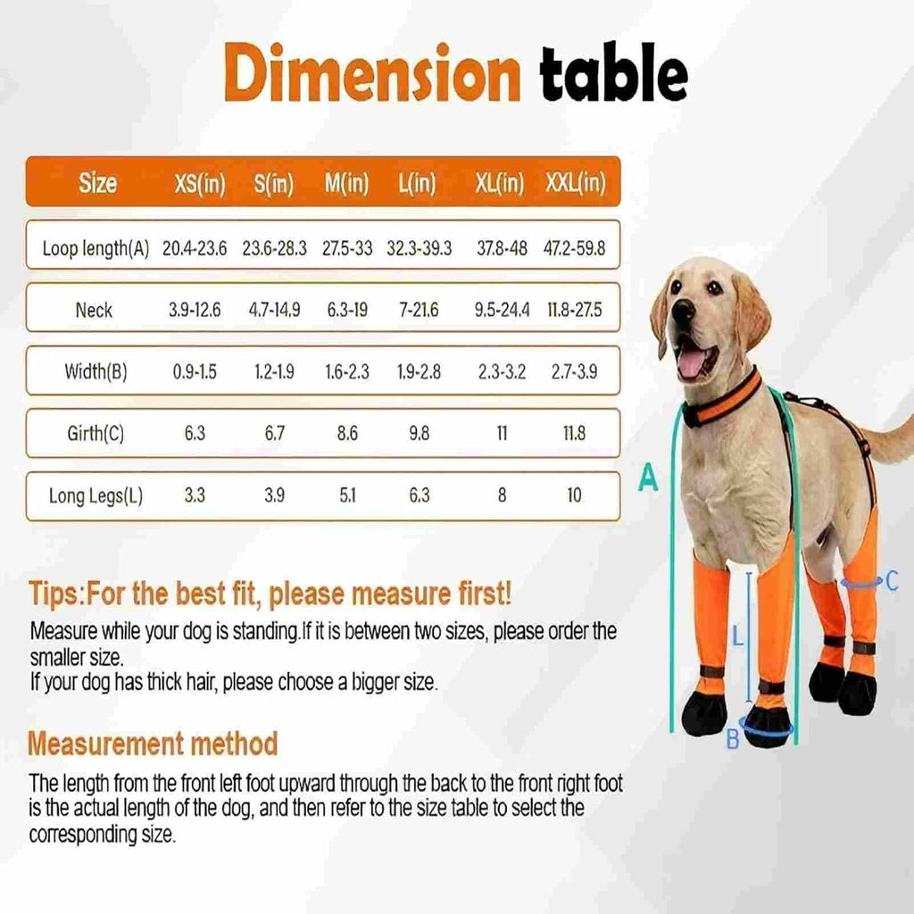 Dog wearing Zermatigo suspender boots side profile