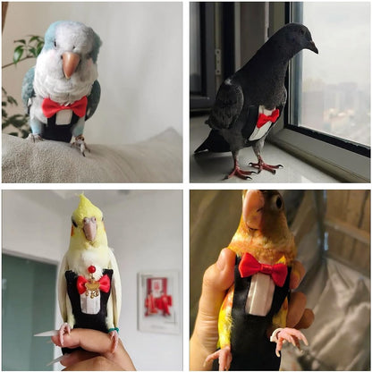 Magnoloran authentic imported USA bird diaper harness packaging view