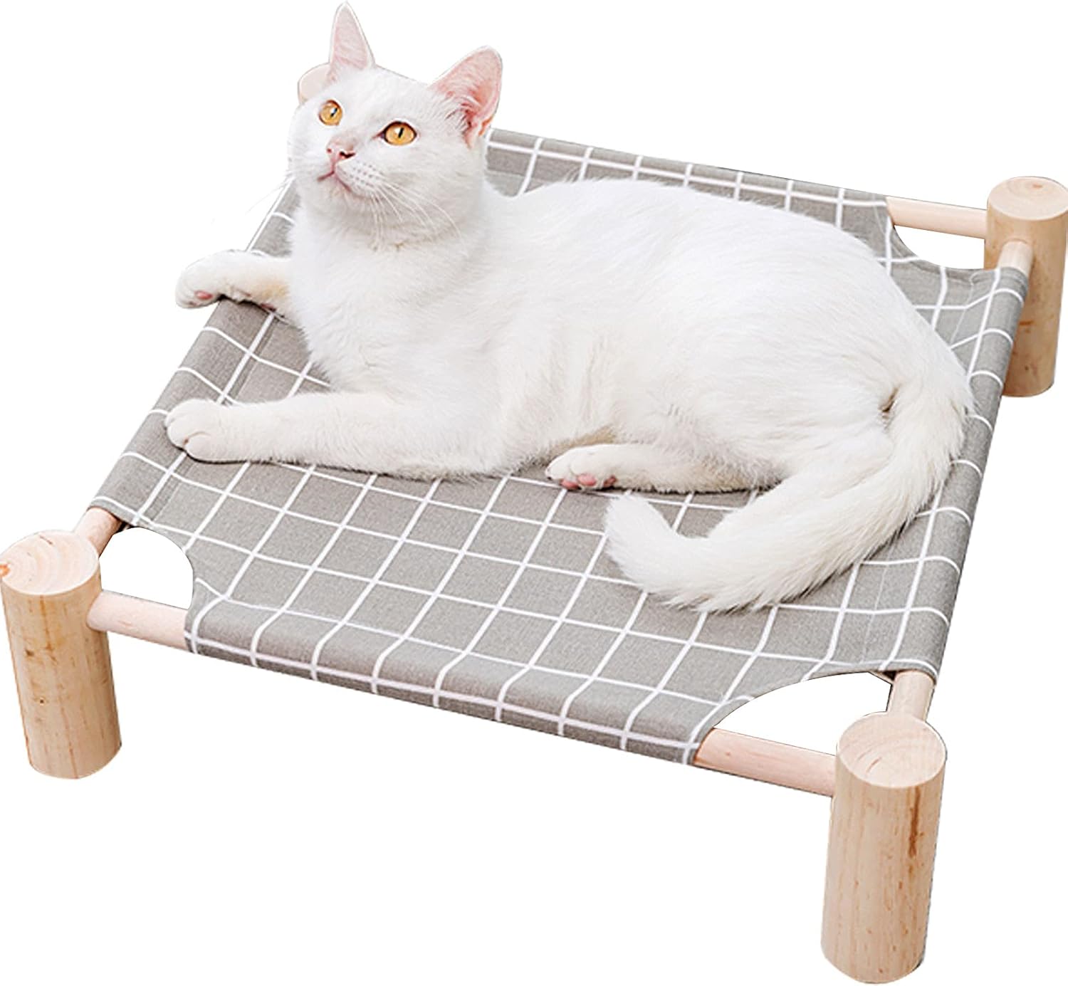 Small dog relaxing on elevated hammock bed indoors