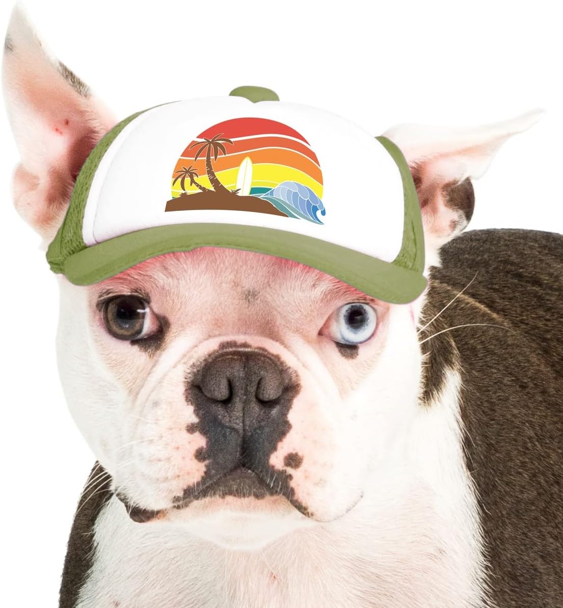Sunset Collection, PupLid Trucker Hats for Dogs (Large) Premium Stylish Sun Protection for The Modern Dog - Adjustable for Secure Comfortable Fit on Active Dogs (Black, All-Terrain) - Image 9