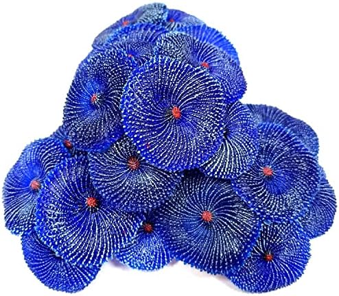 OrgMemory fish cave hideout decoration set with realistic starfish replica piece